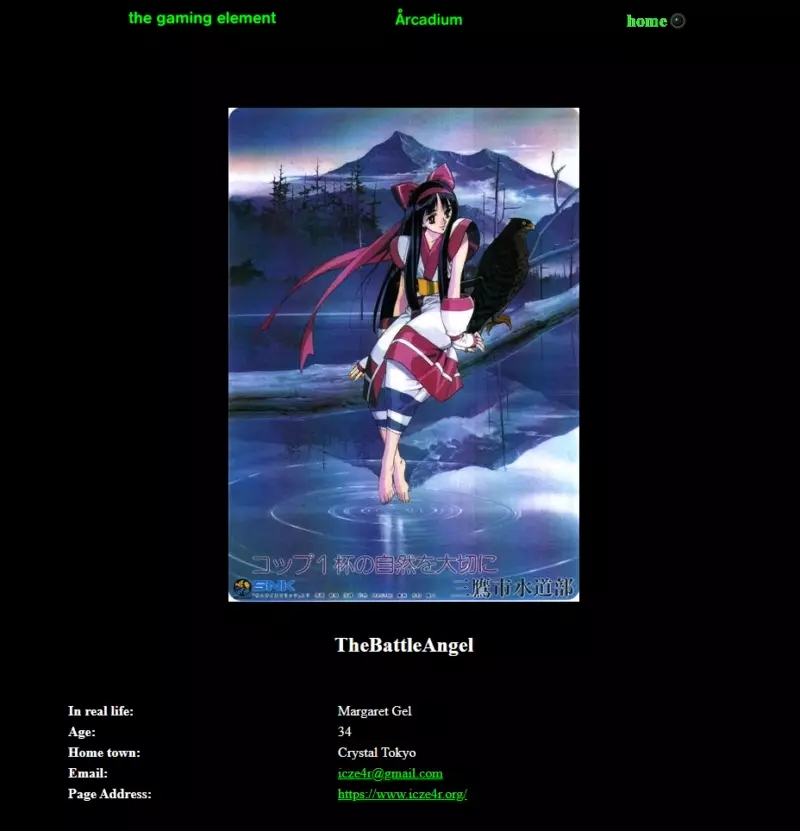 A recreation of what my profile looked like, on Arcadium.com. A recreation of what my profile looked like, on Arcadium.com.